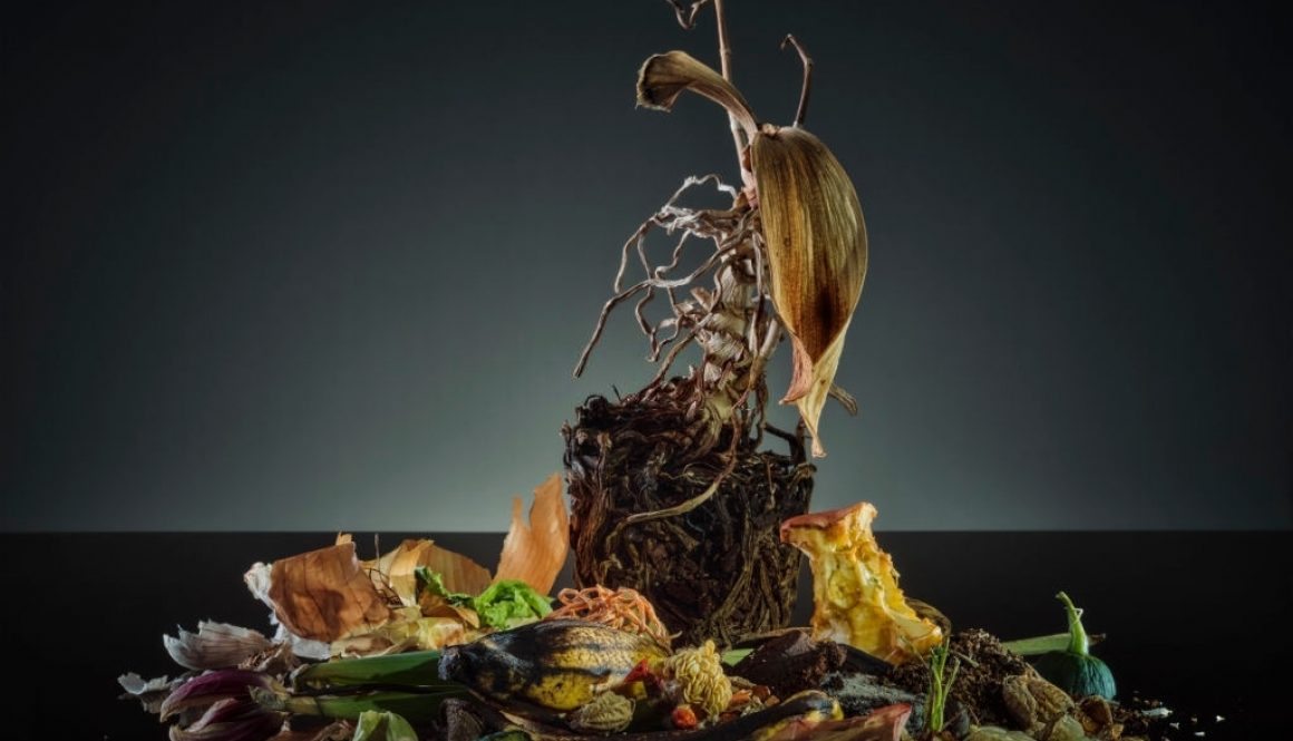 Ilustrasi limbah makanan (Foto oleh Westend16/Getty Images)