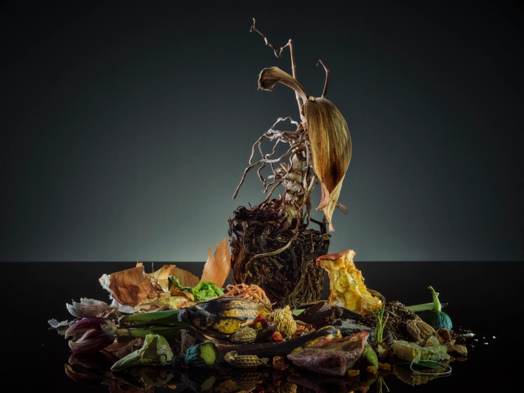 Ilustrasi limbah makanan (Foto oleh Westend16/Getty Images)