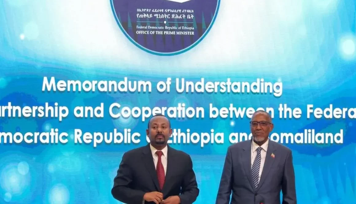 Ethiopia's Prime Minister Abiy Ahmed (L) signed the memorandum of understanding with Somaliland's President Muse Bihi Abdi in Addis Ababa