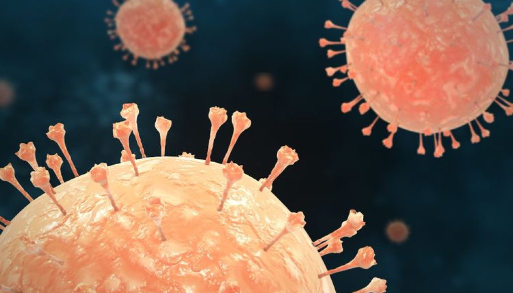 Ancaman Hantavirus yang Mulai Jadi Sorotan Dunia