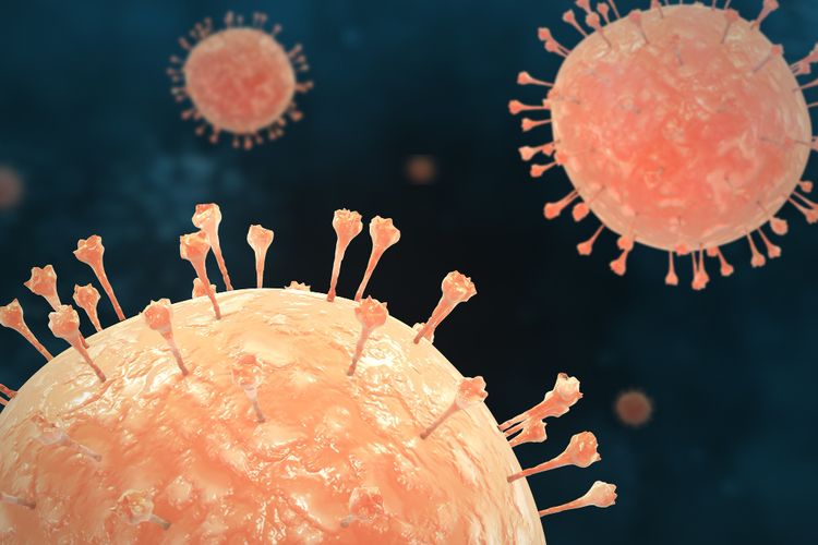 Ancaman Hantavirus yang Mulai Jadi Sorotan Dunia